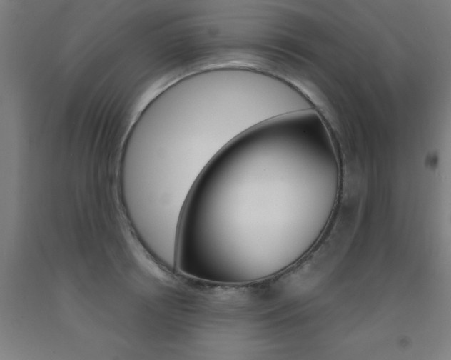X0000093140850200709261056