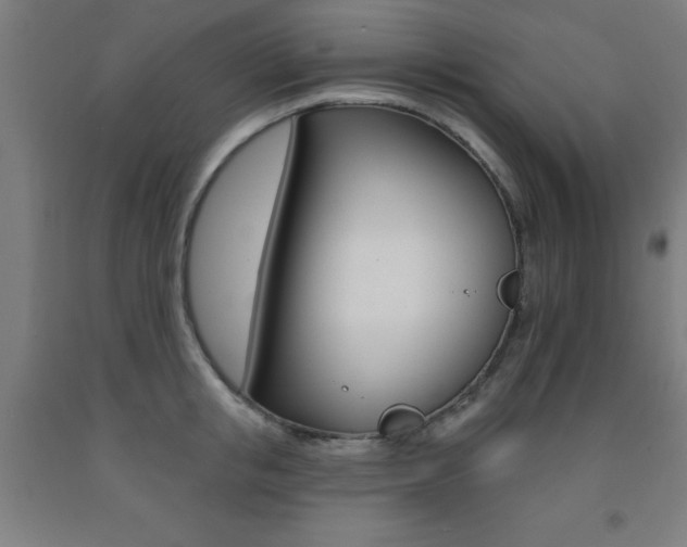 X0000093140853200709261056