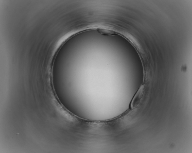 X0000093140854200709261056
