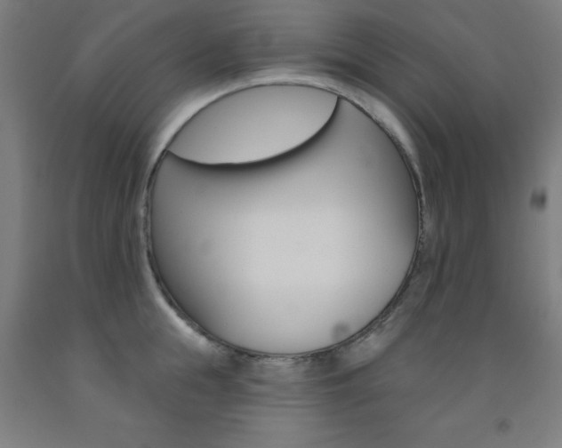 X0000093140855200709261056