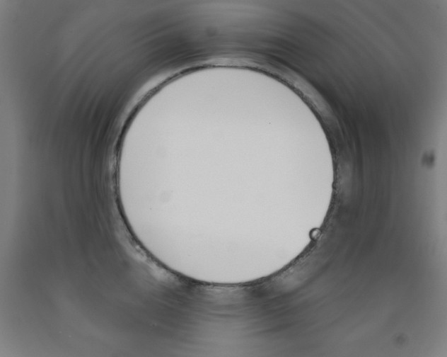 X0000093140856200709261056