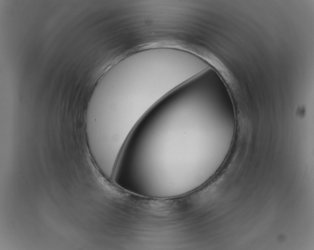 X0000093140857200709261056