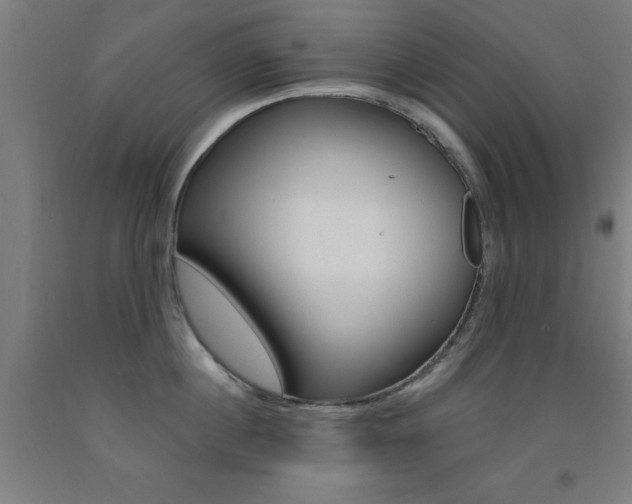 X0000093140860200709261056