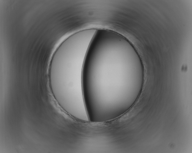 X0000093140864200709261056