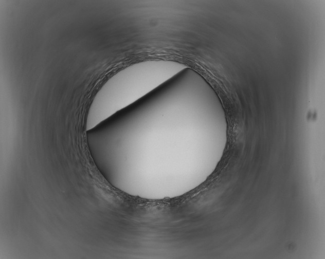 X0000093140865200709261056
