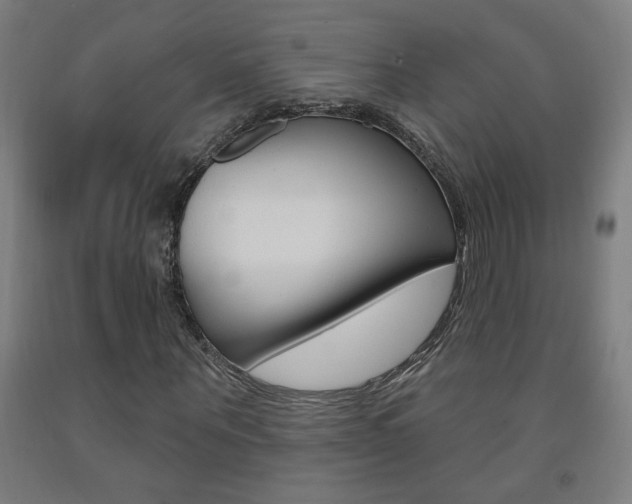 X0000093140867200709261056