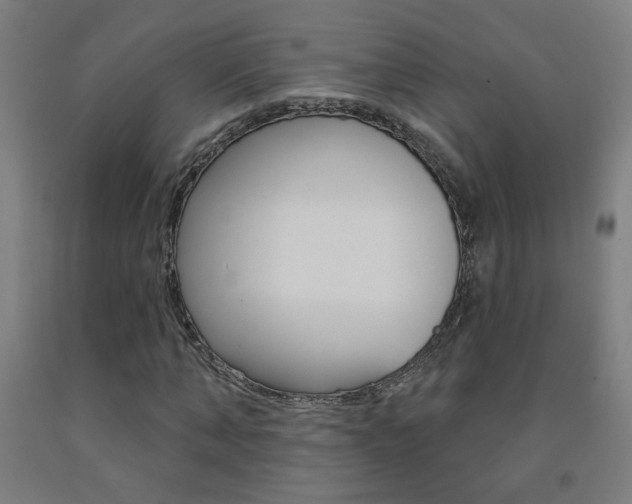 X0000093140870200709261056