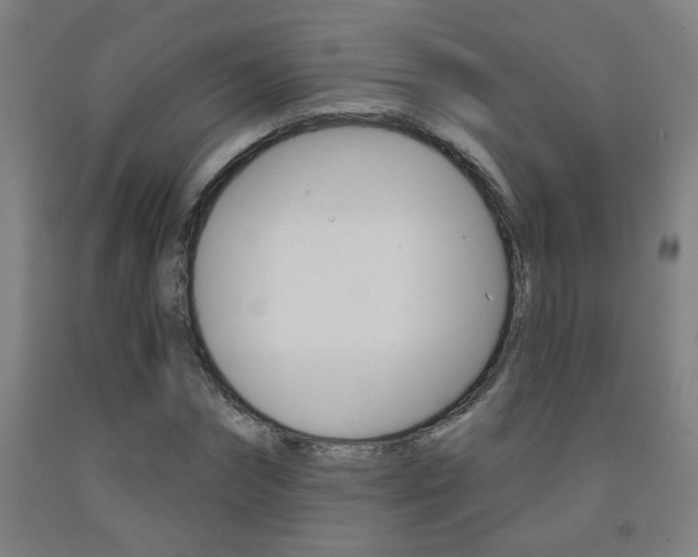 X0000093140874200709261056