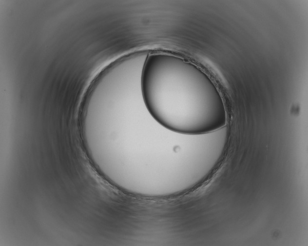 X0000093140876200709261056