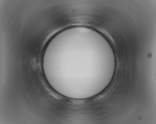 X0000093140882200709261056