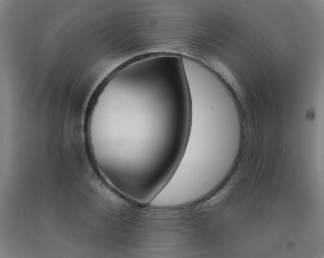 X0000093140884200709261055