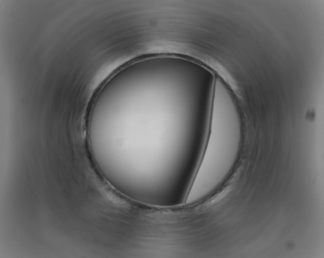 X0000093140885200709261055