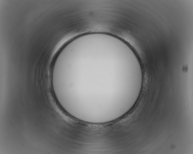 X0000093140886200709261055