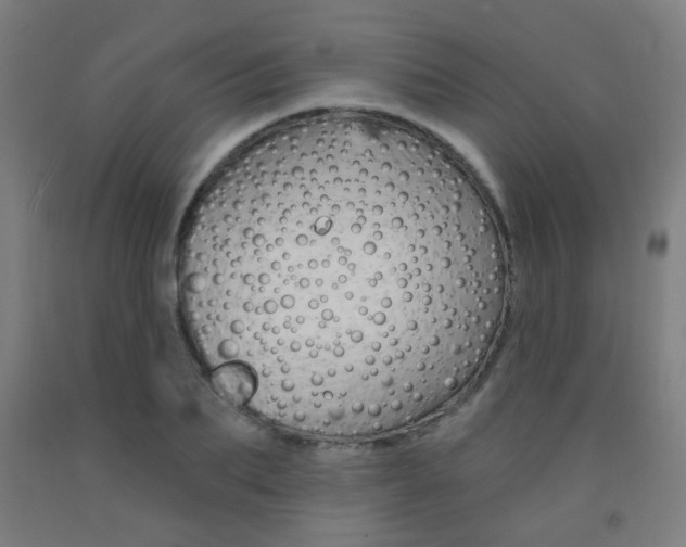 X0000093140887200709261055