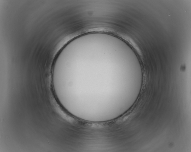 X0000093140890200709261055