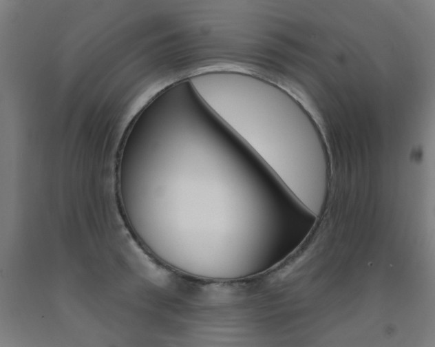 X0000093140898200709261055