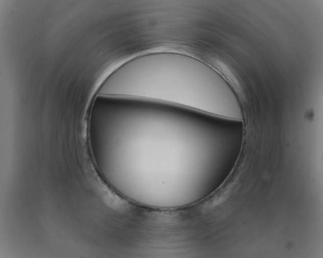 X0000093140900200709261055
