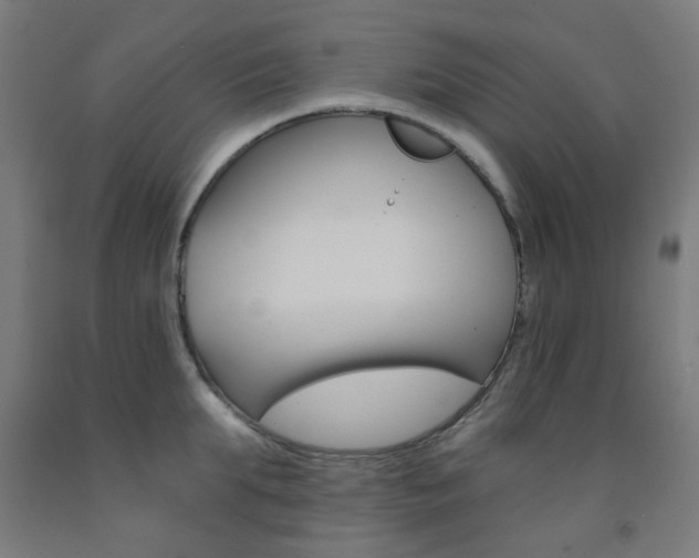 X0000093140903200709261055
