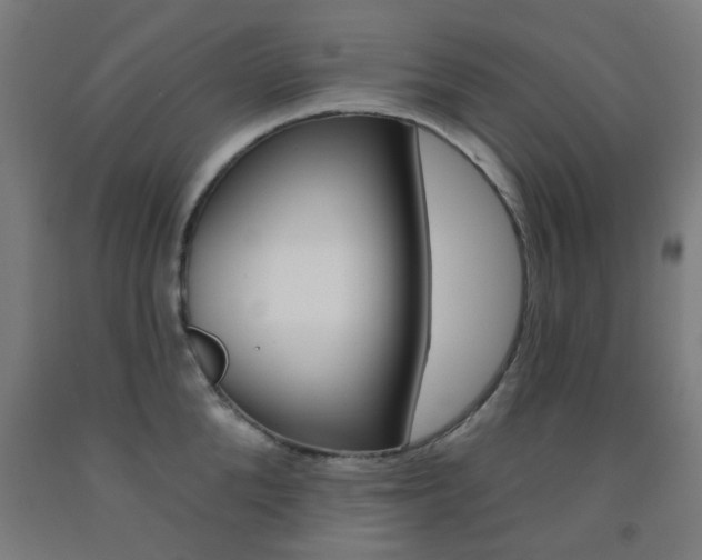 X0000093140904200709261055