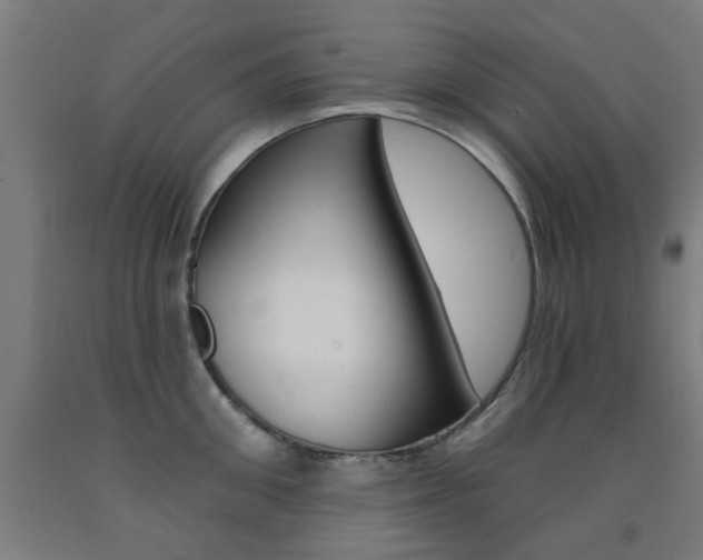 X0000093140906200709261055