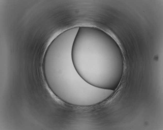 X0000093140909200709261055