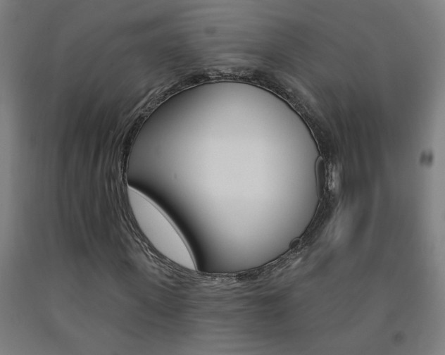 X0000093140915200709261054