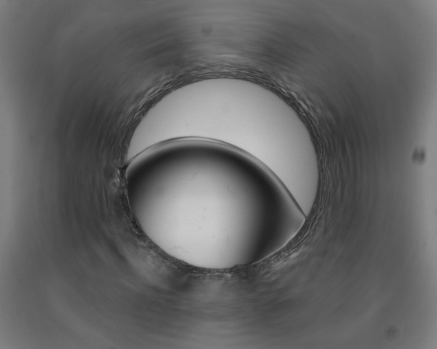 X0000093140916200709261054