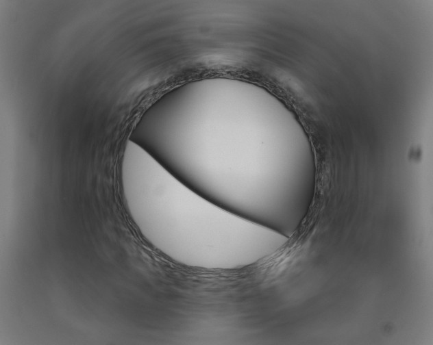 X0000093140917200709261054