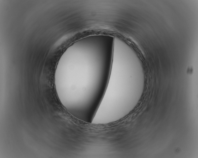 X0000093140919200709261054