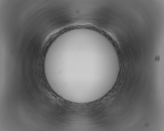 X0000093140920200709261054