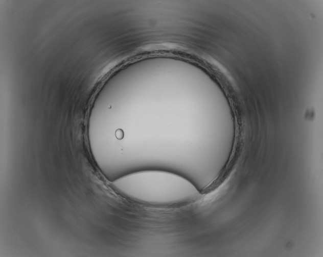 X0000093140921200709261054