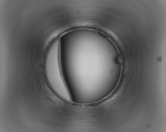 X0000093140922200709261054