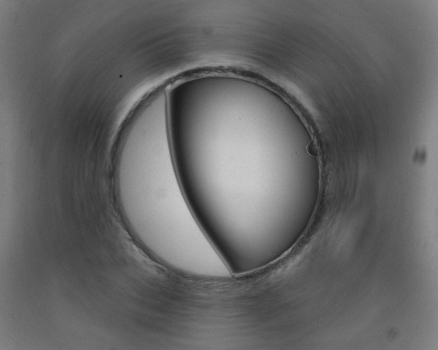 X0000093140927200709261055