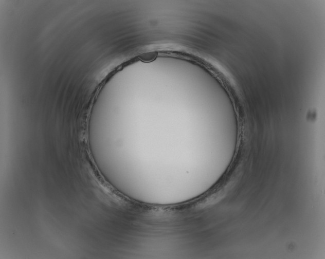 X0000093140929200709261055
