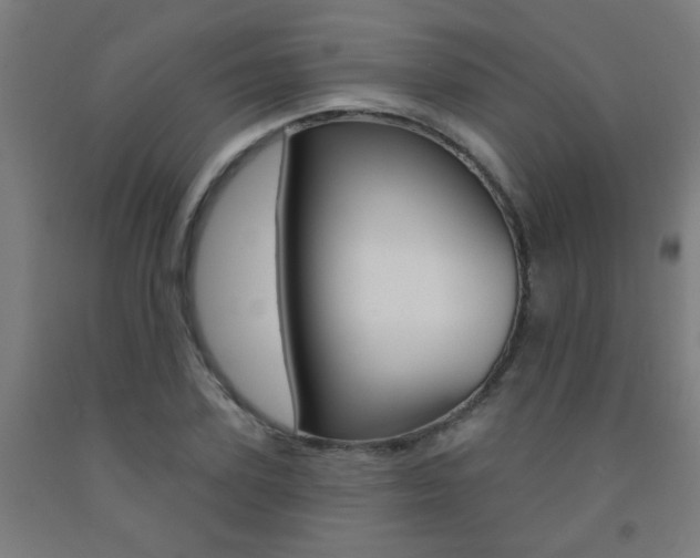 X0000093140931200709261055