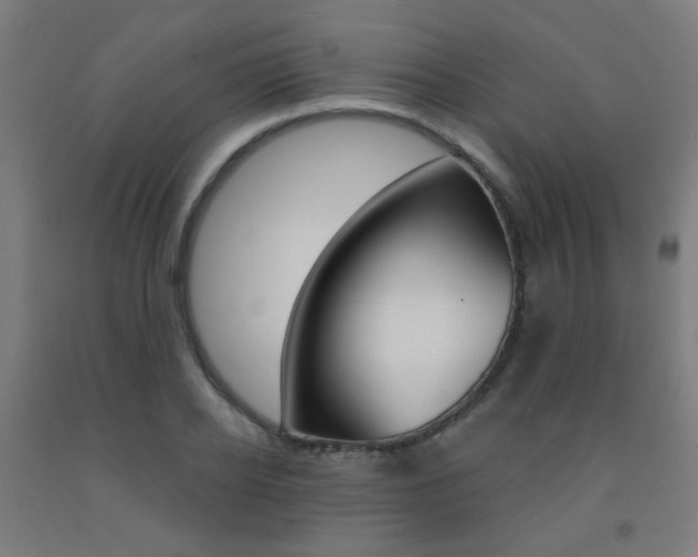 X0000093140934200709261055