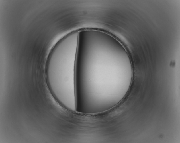 X0000093140935200709261055