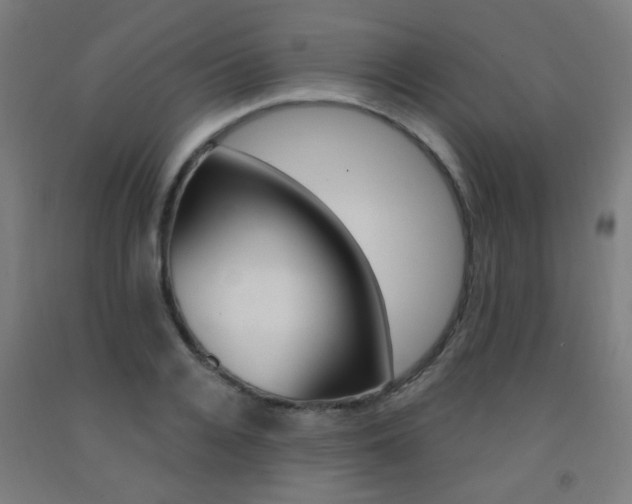X0000093140936200709261055