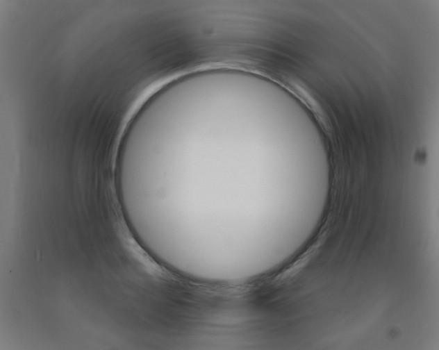 X0000093140940200709261055