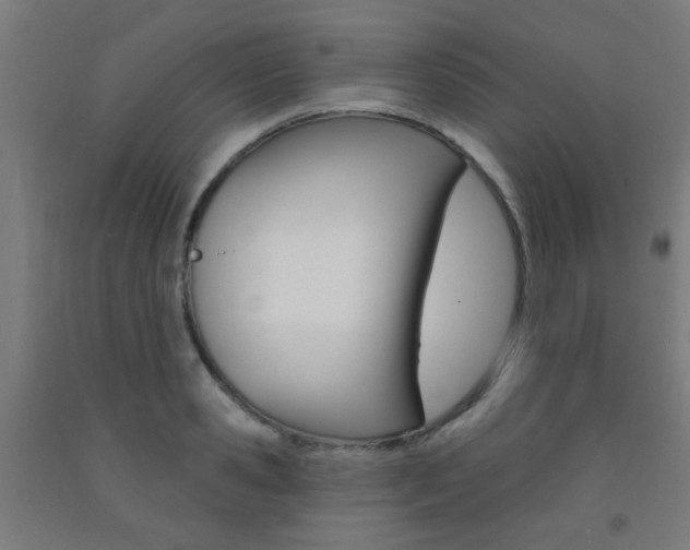 X0000093140941200709261055