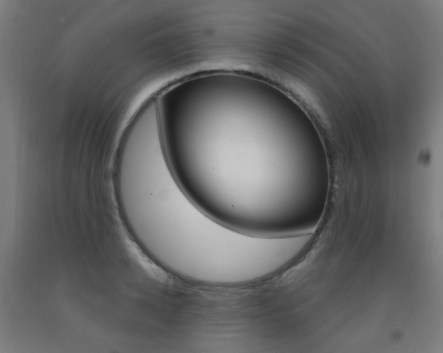 X0000093140942200709261055