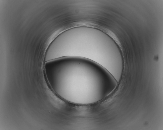 X0000093140946200709261055