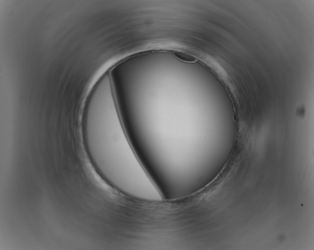 X0000093140947200709261055