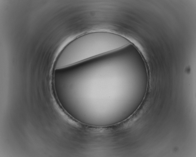 X0000093140949200709261055