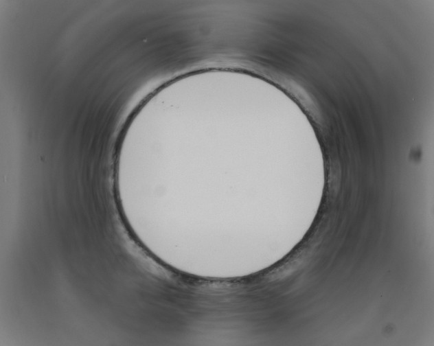 X0000093140950200709261055