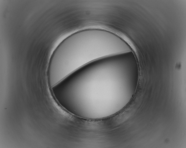 X0000093140951200709261055