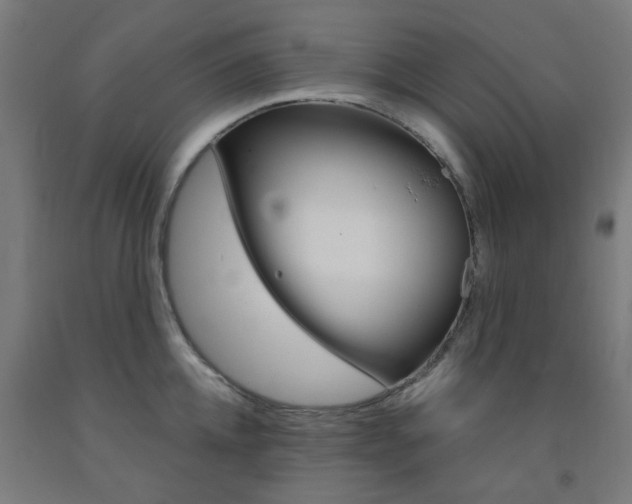 X0000093140952200709261055