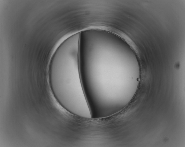 X0000093140955200709261055