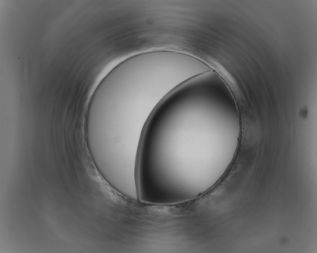 X0000093140956200709261055