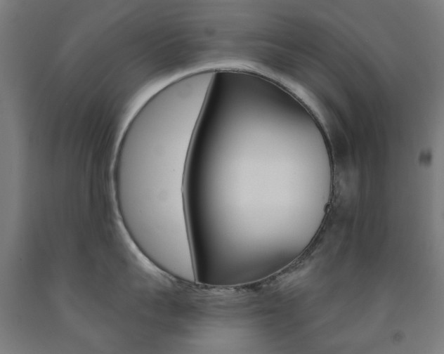 X0000093140959200709261055